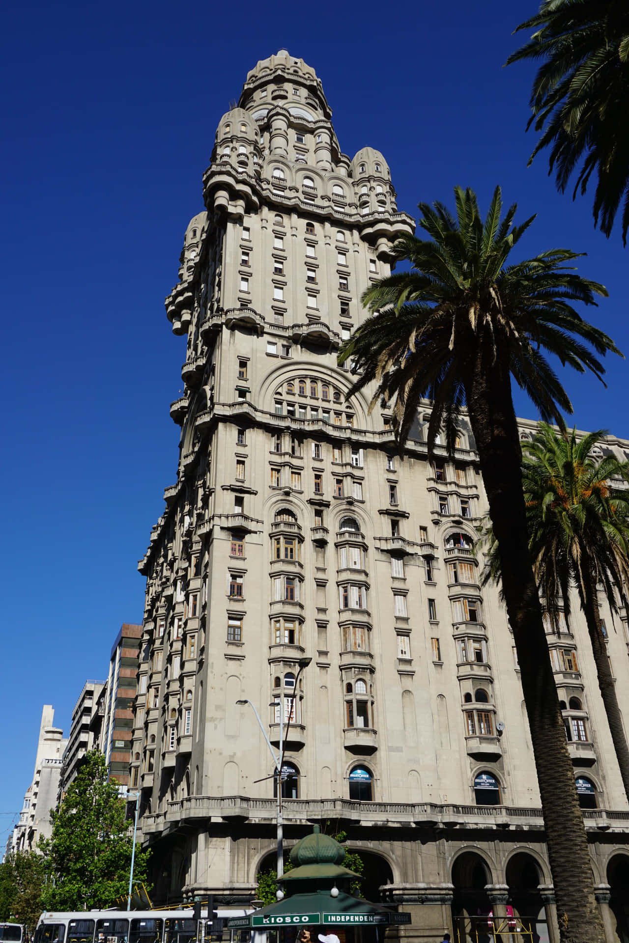 Tree Reaching Palacio Salvo Background