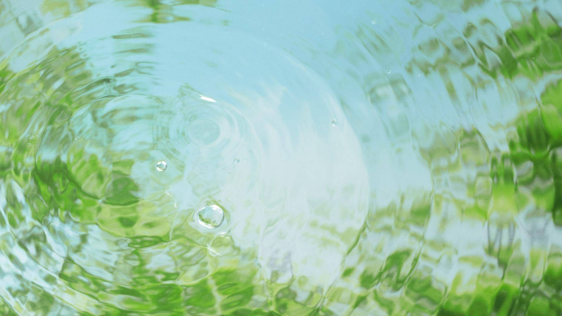 Tree Reflection On Rippling Water Background