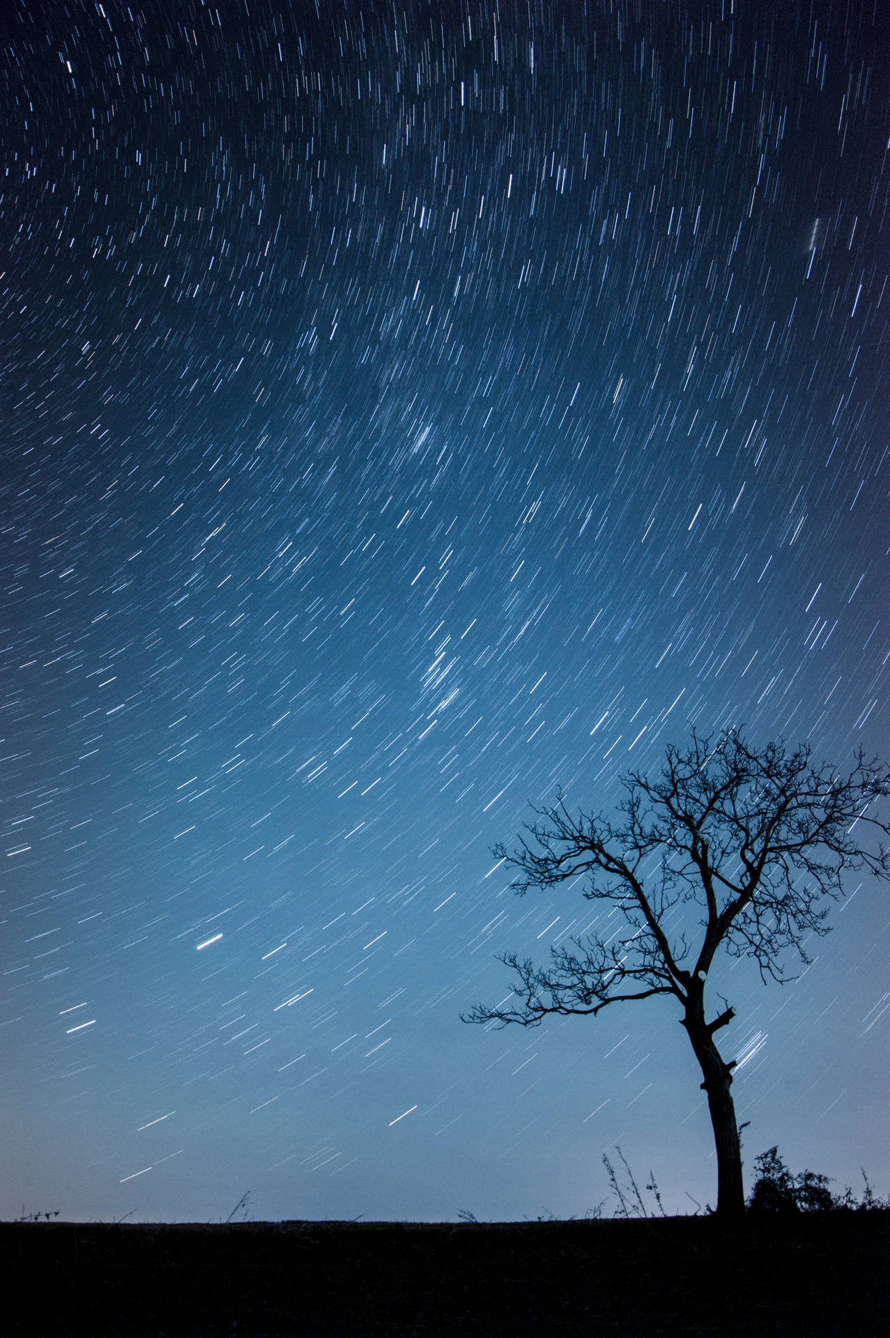 Tree Silhouette Galaxy Iphone Background