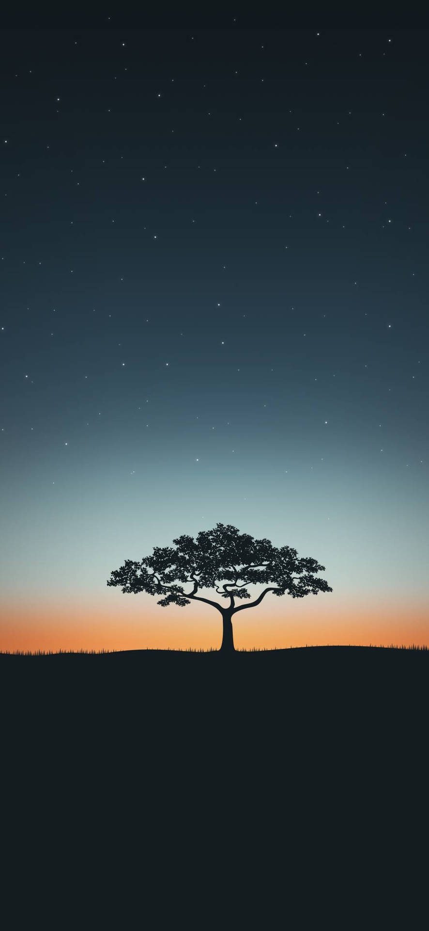 Tree Silhouette Iphone 2021 Background