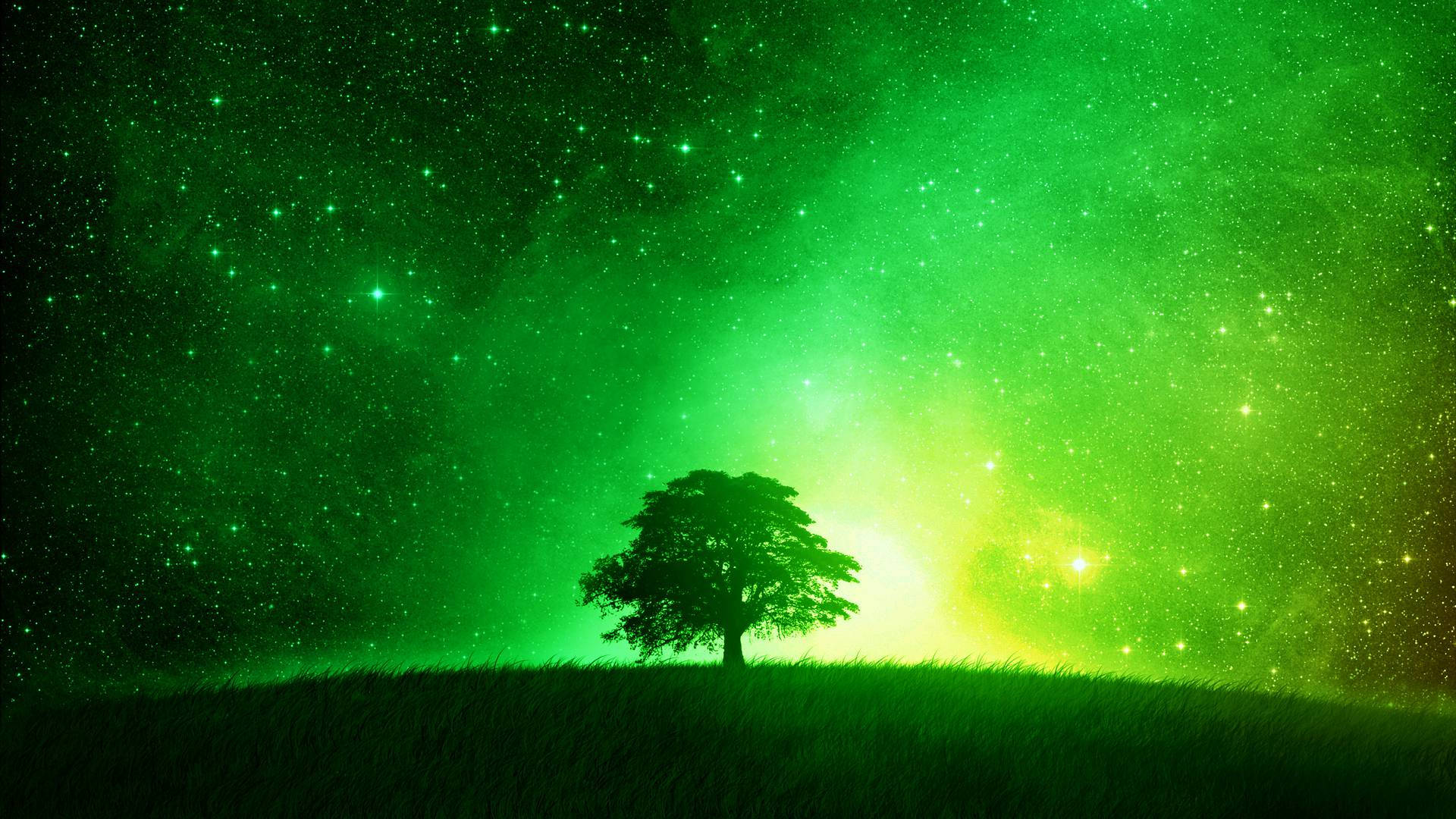 Tree Silhouette Neon Green Aesthetic Background
