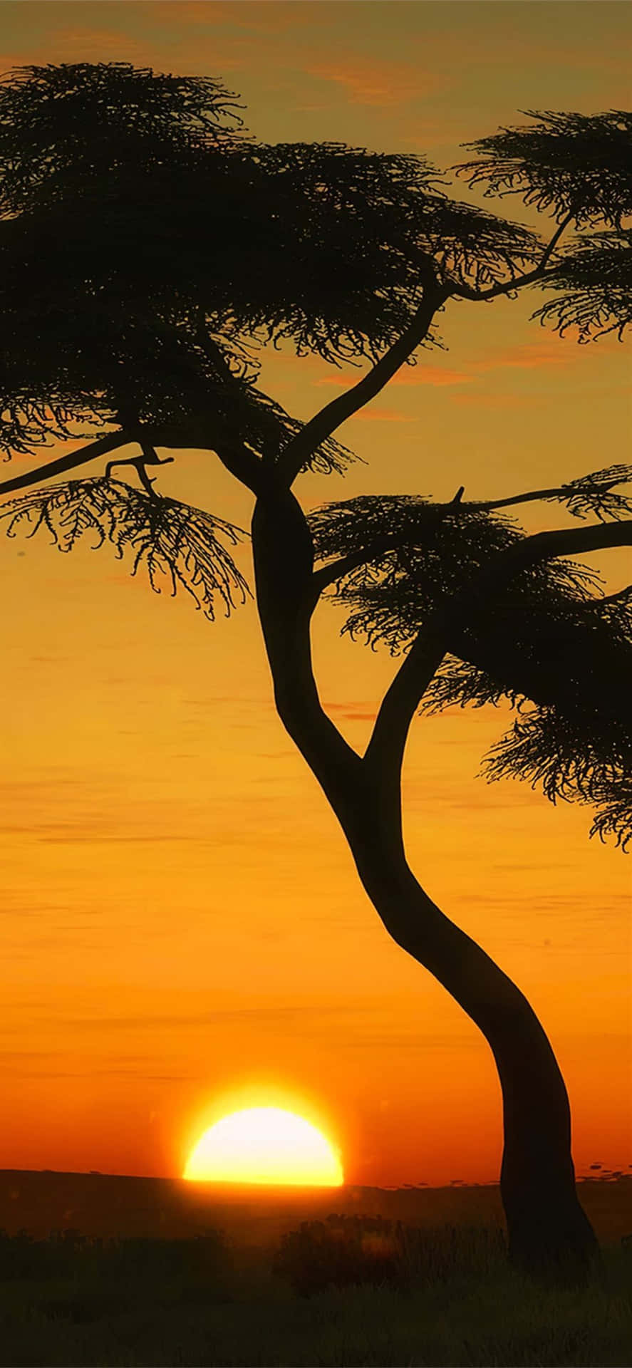Tree Silhouette Portrait In Masai Mara Background