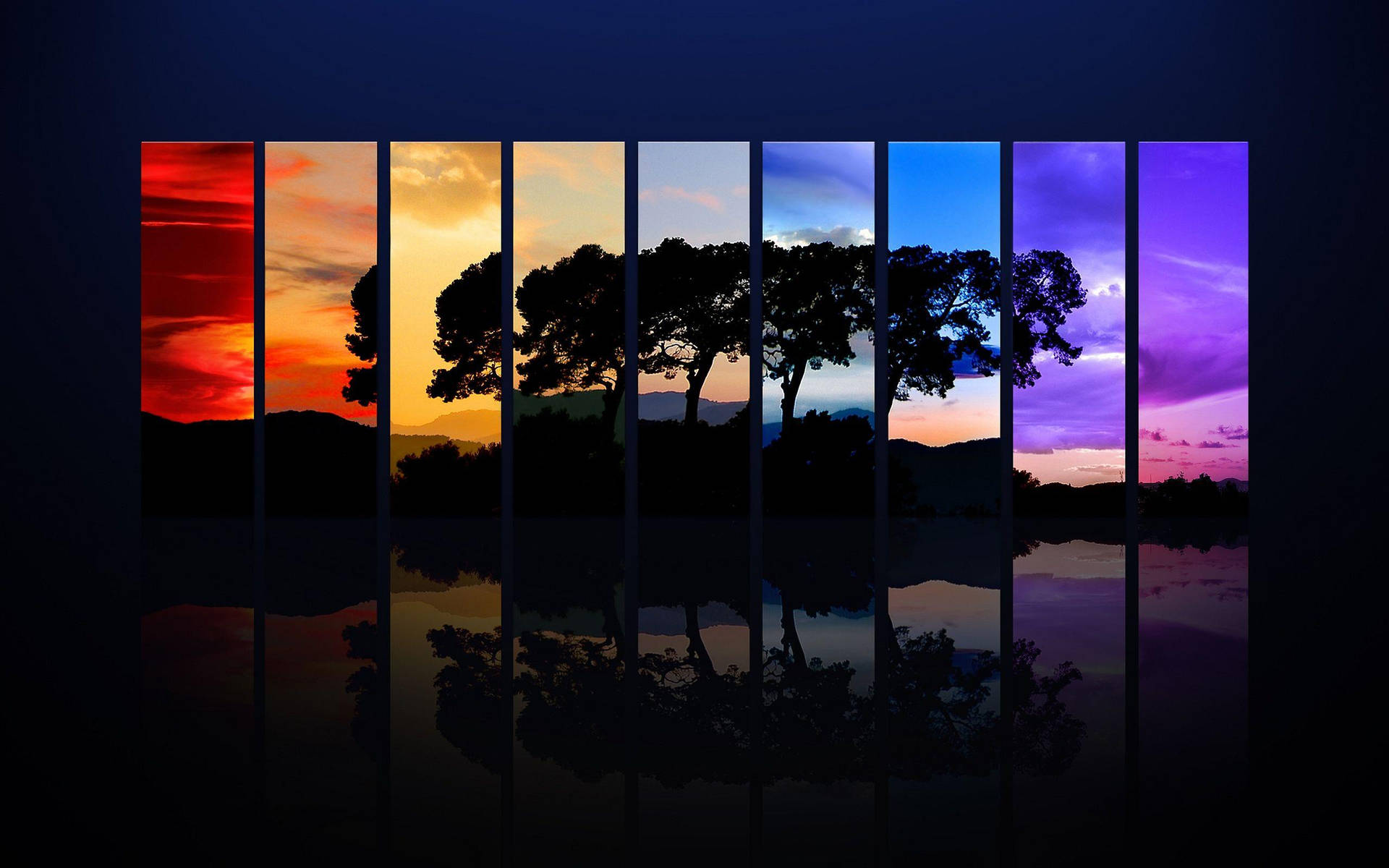 Tree Silhouettes Side-by-side Cool Pc Background