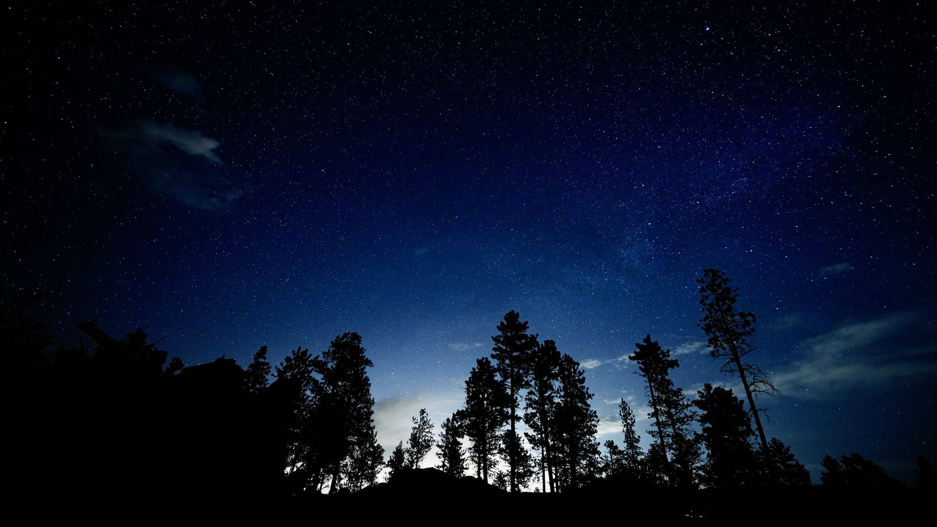 Tree Silhouettes Starry Sky Background