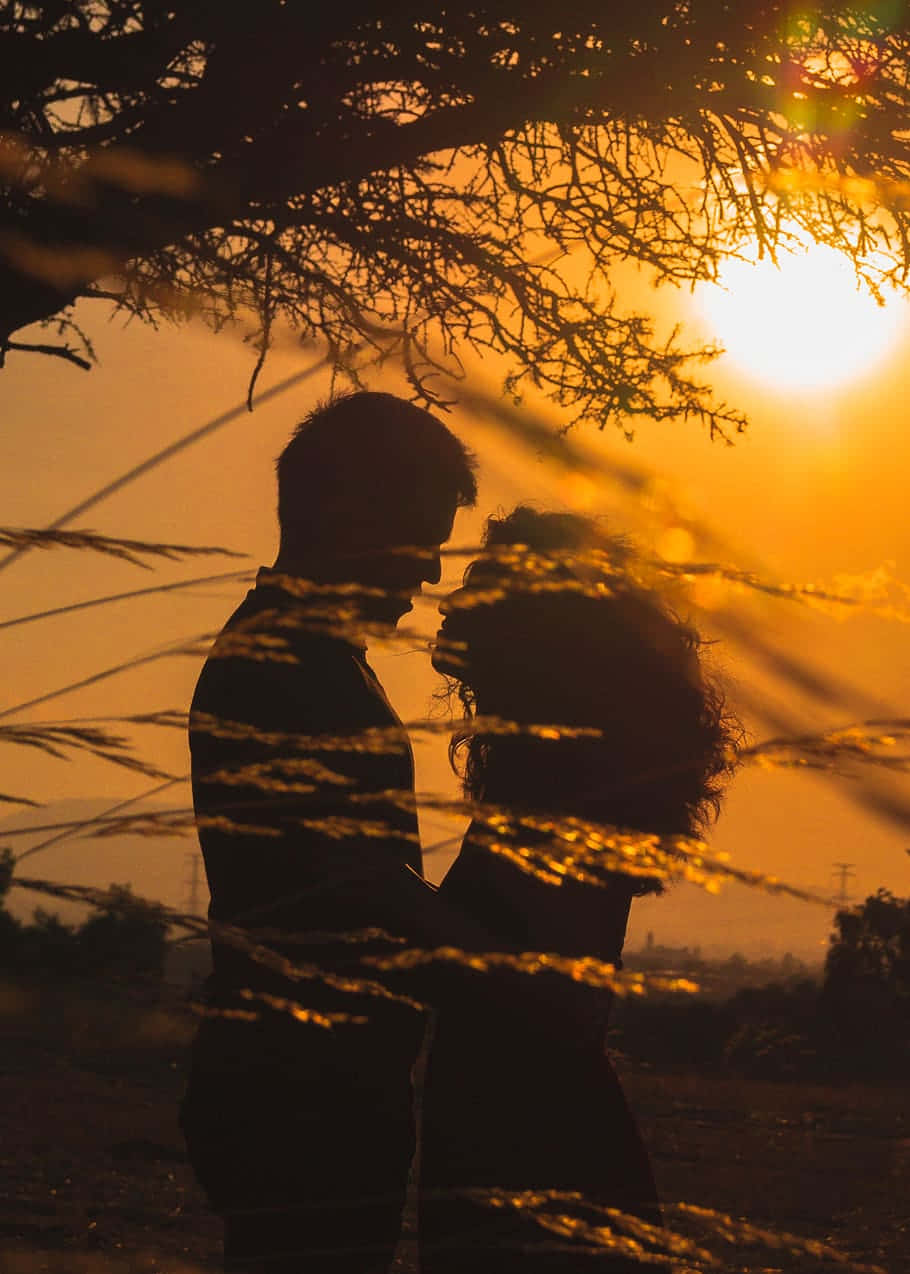 Tree Sunset Couple