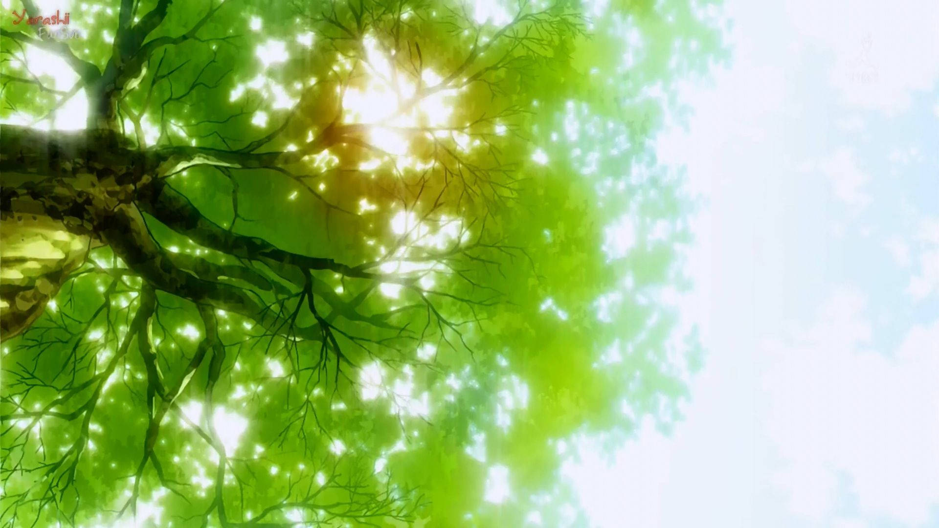 Tree With Bright Light Of Sun Green Anime Aesthetic Background