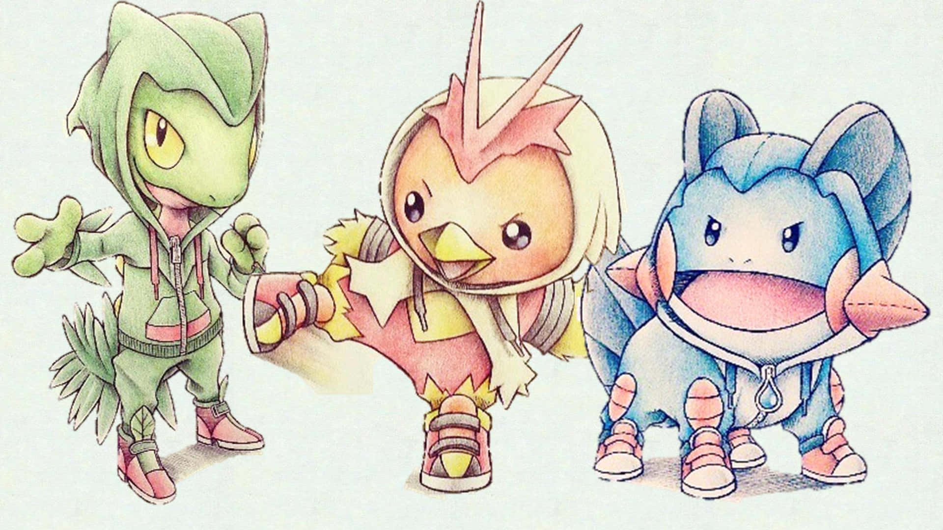 Treecko, Torchic, And Mudkip Drawing Background