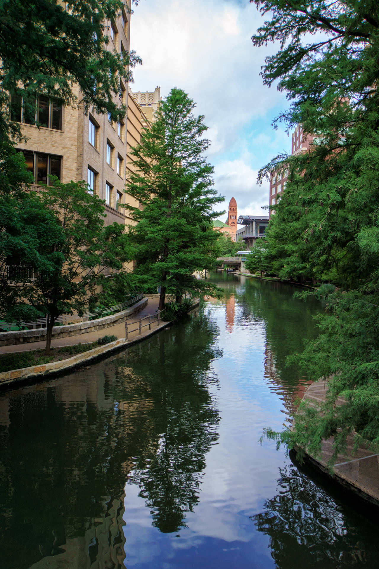 Trees Along San Antonio River Walk Background