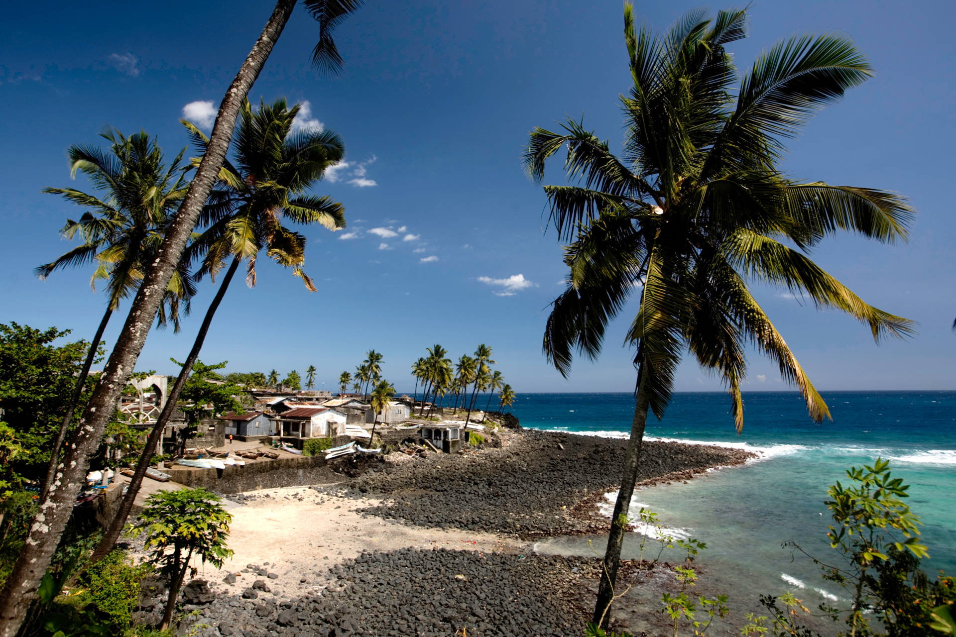 Trees And Houses In Comoros Background