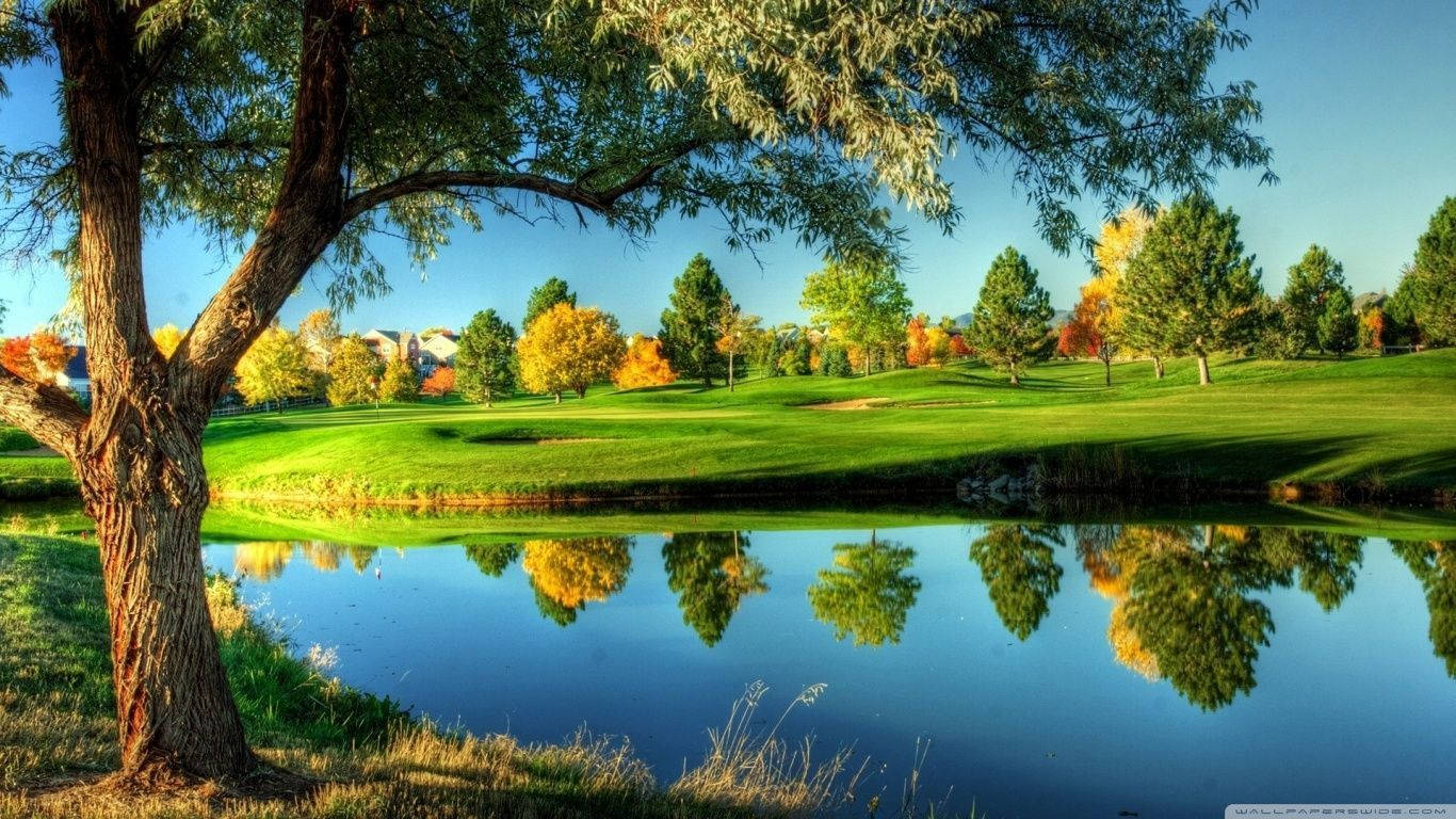 Trees And Lake Golfing Desktop Background