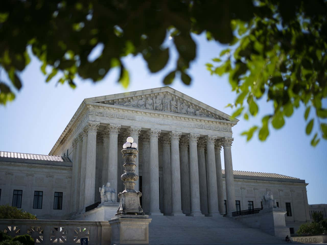 Trees And The Supreme Court Building