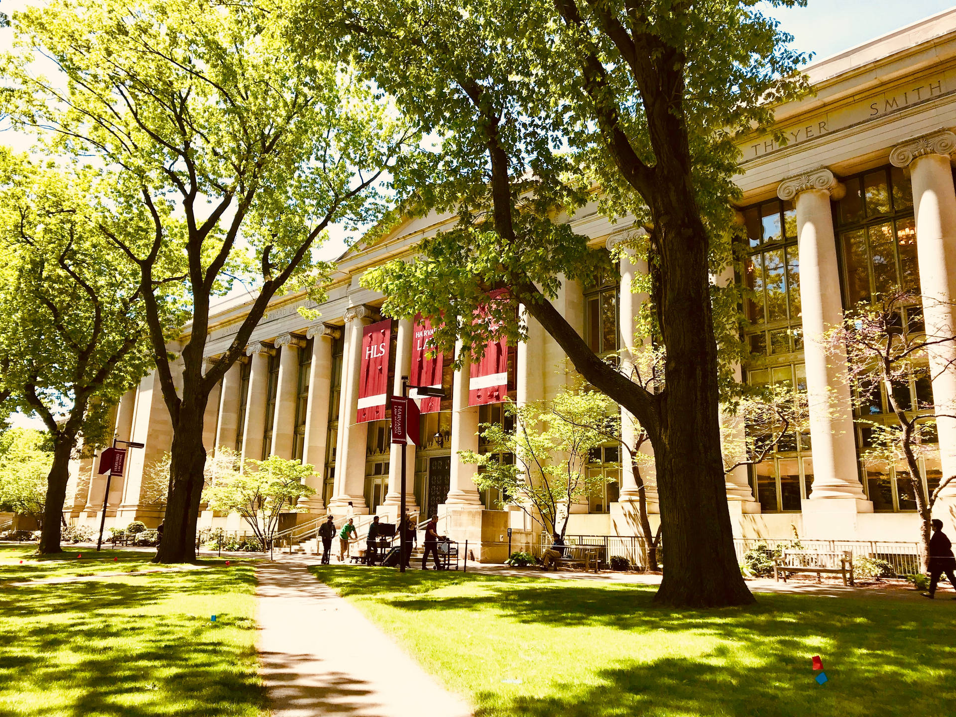 Trees Around Harvard University Law School Background