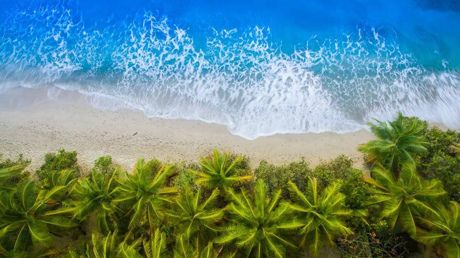 Trees By The Bay Of Marshall Islands