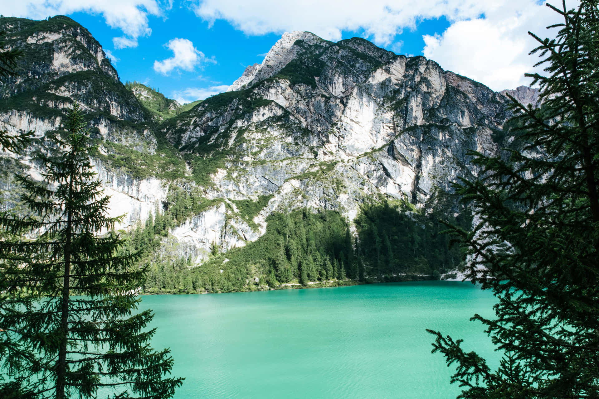 Trees Framing Beautiful Mountain Lake View Background