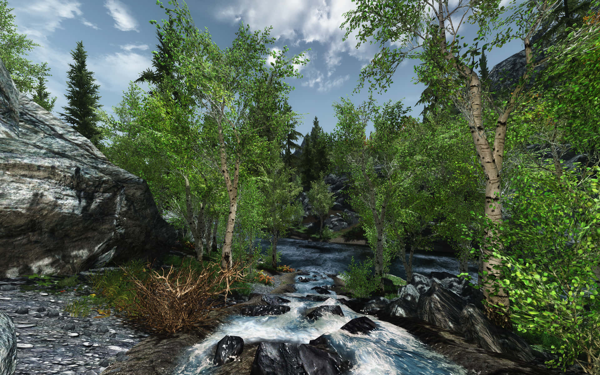 Trees On River Skyrim Landscape Background