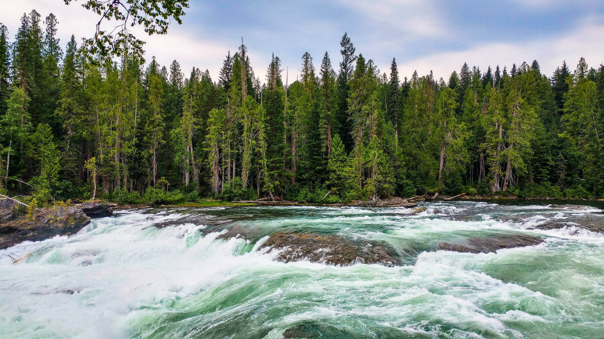 Trees On The Riverside Strong Current Background