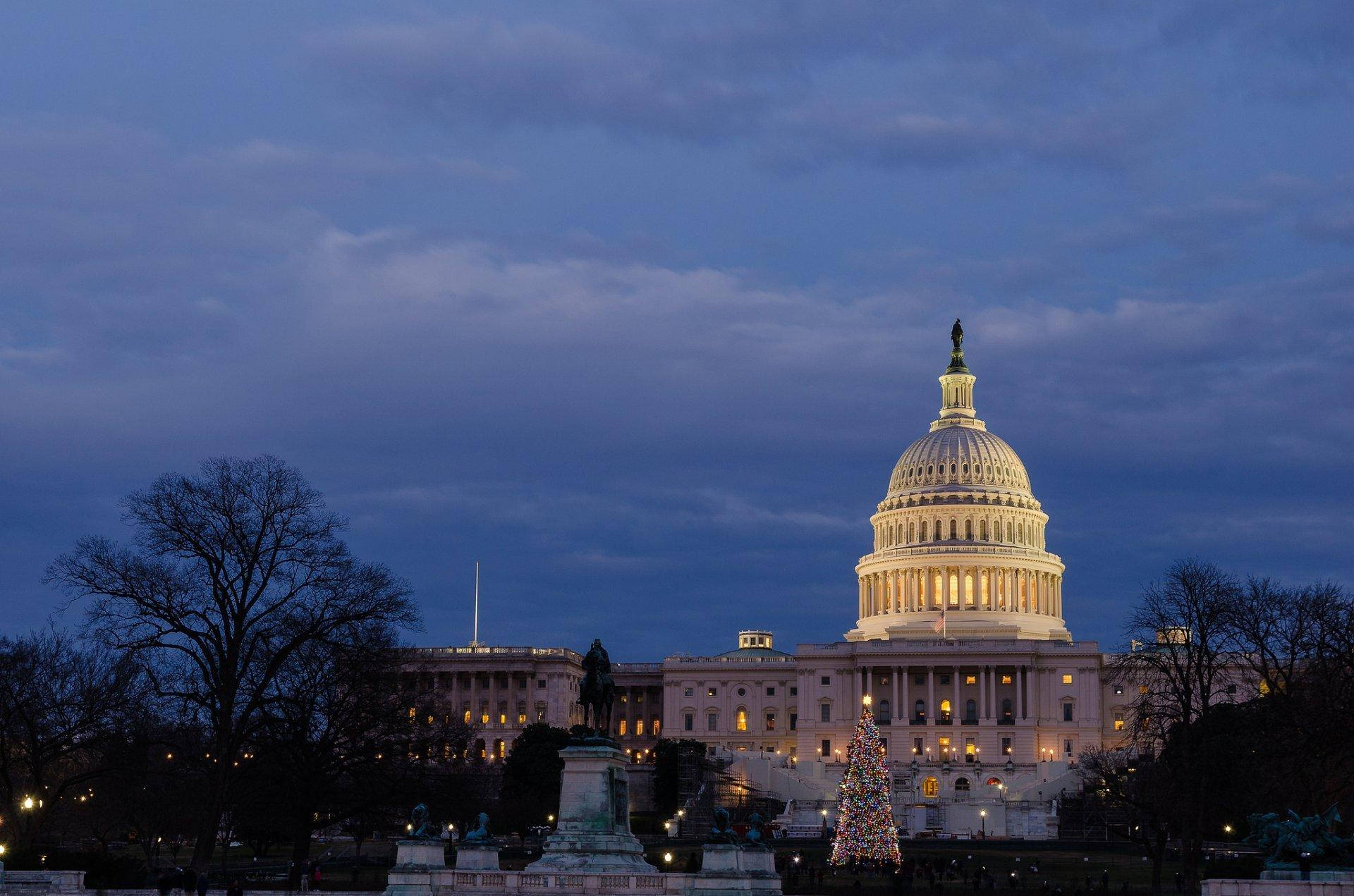 Trees Silhouettes United States Capitol