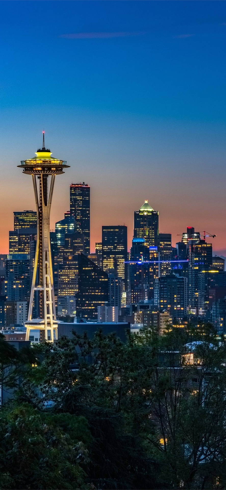 Trees Surrounding Seattle Skyline Background