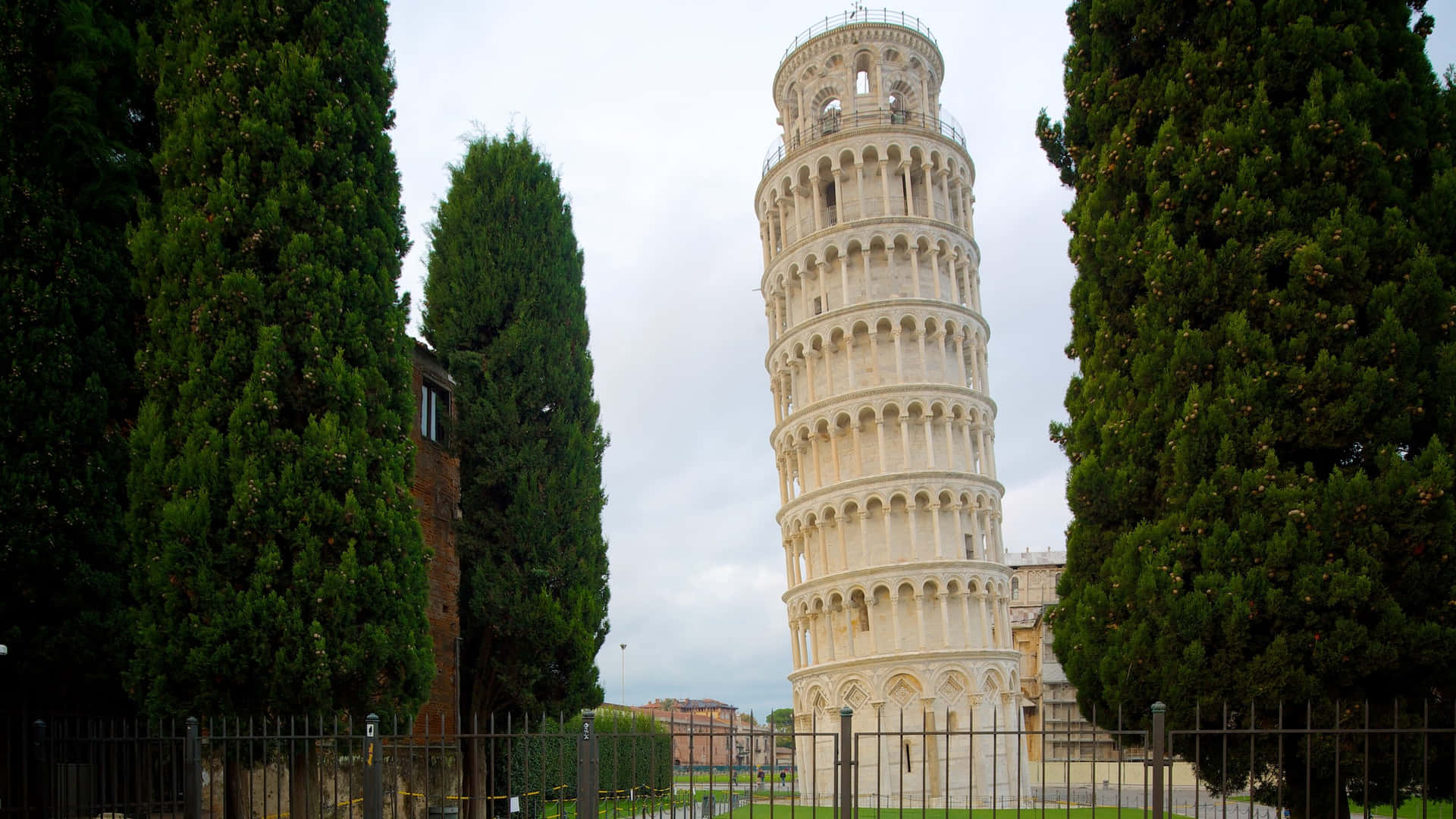 Trees Surrounding Tower Of Pisa