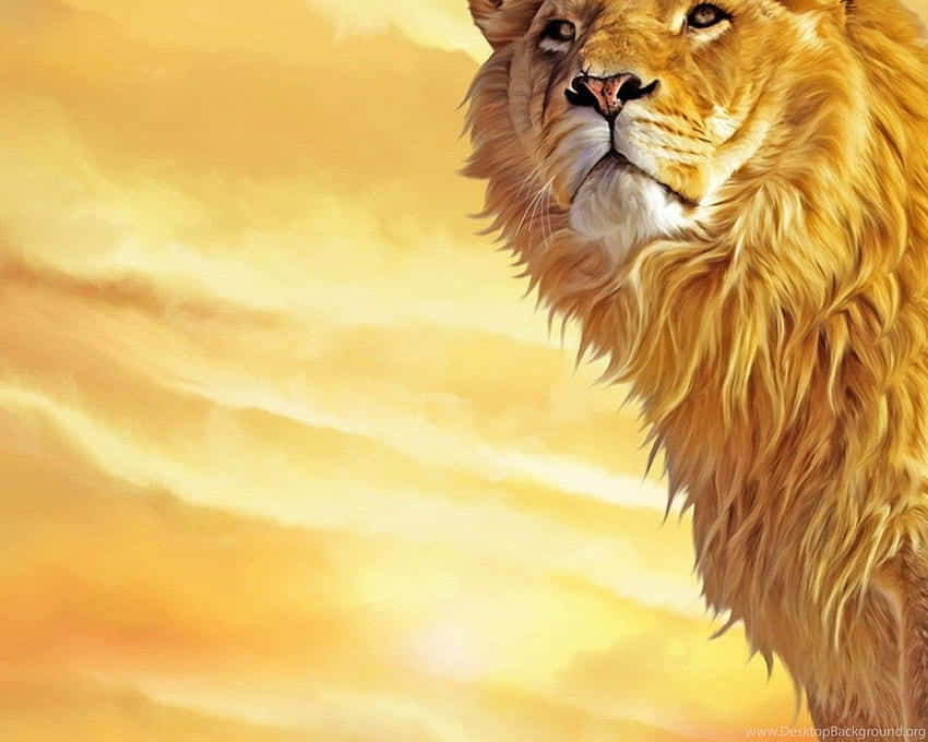 Tremendous Head Of A Lion Background