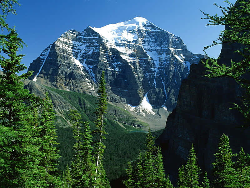 Tremendous Mountain Background