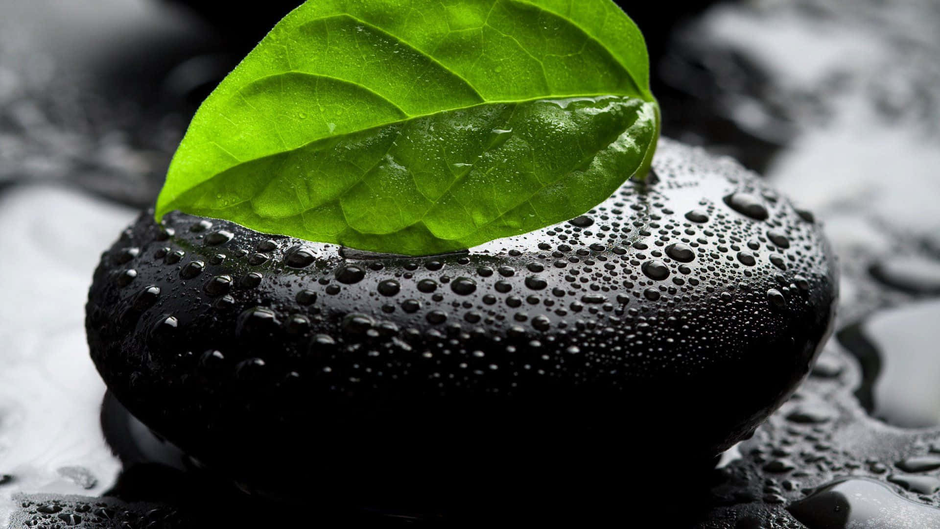 Tremendous Water Droplet Details Background