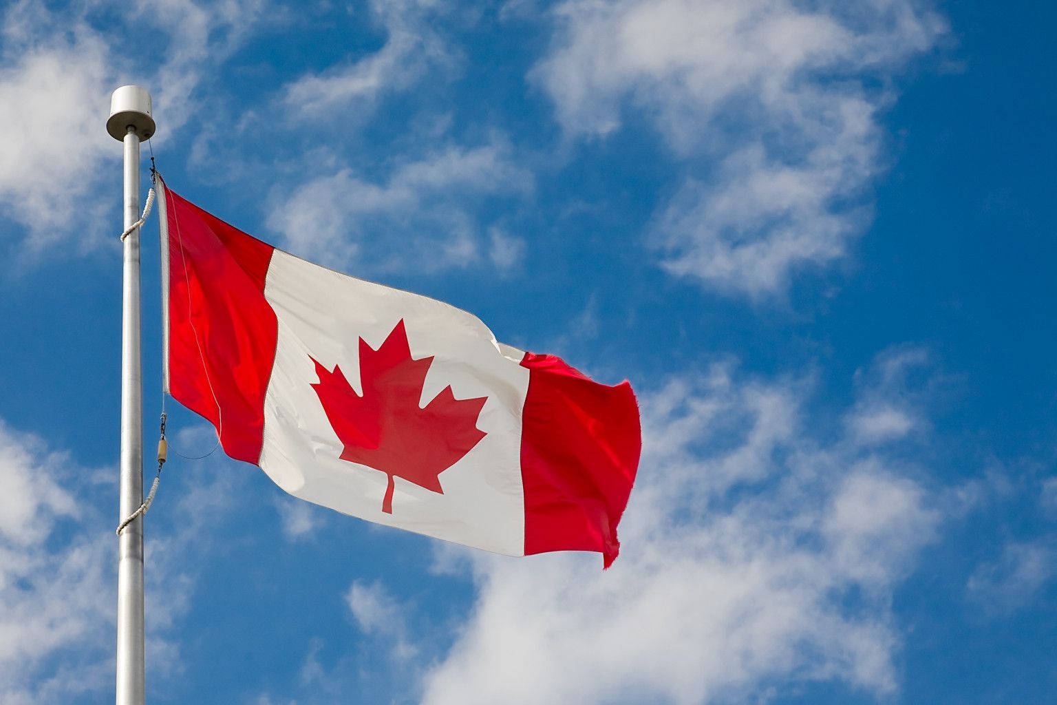 Trending Canada Flag On Pole