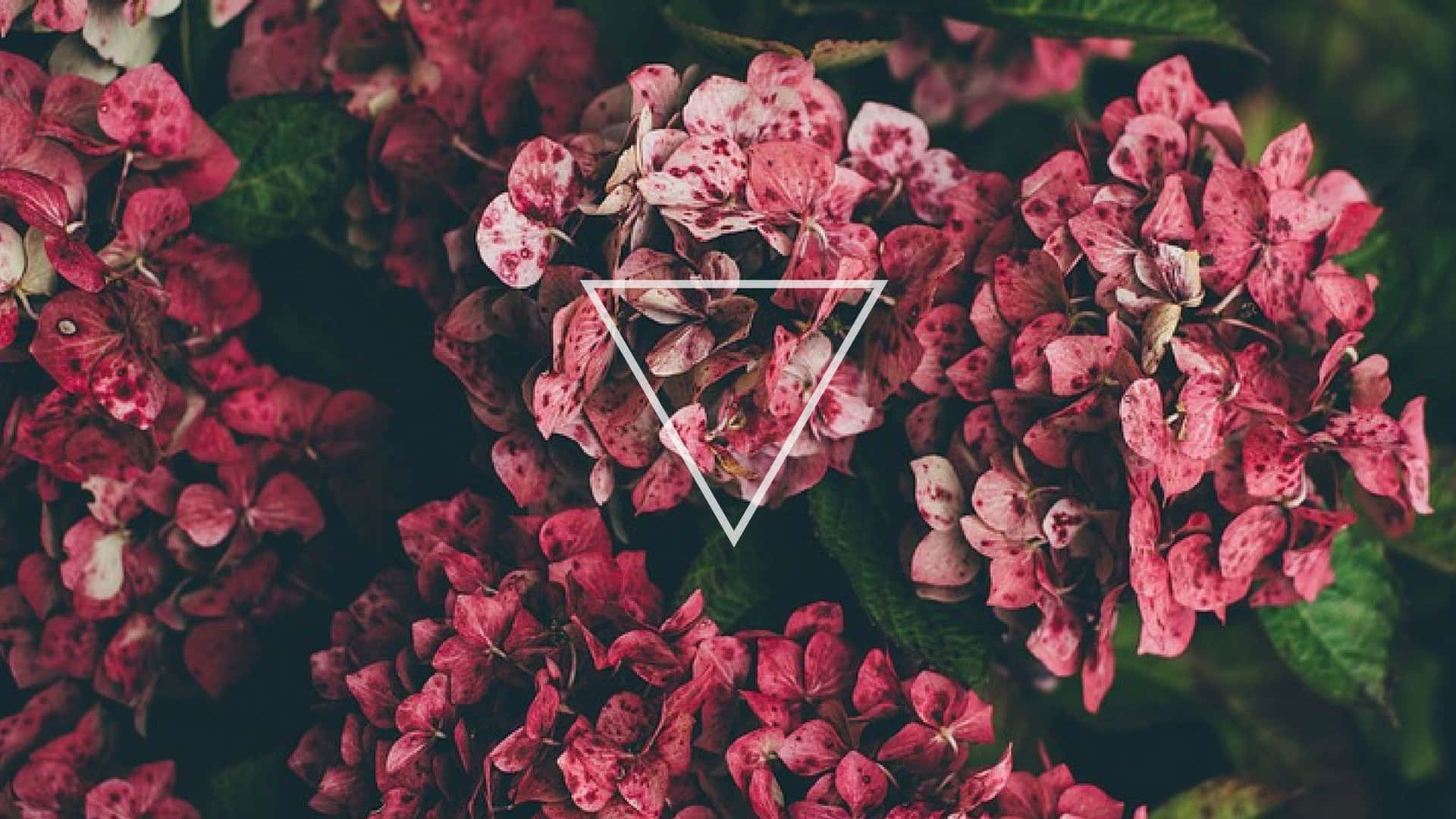 Triangle Tumblr Flowers Desktop Background