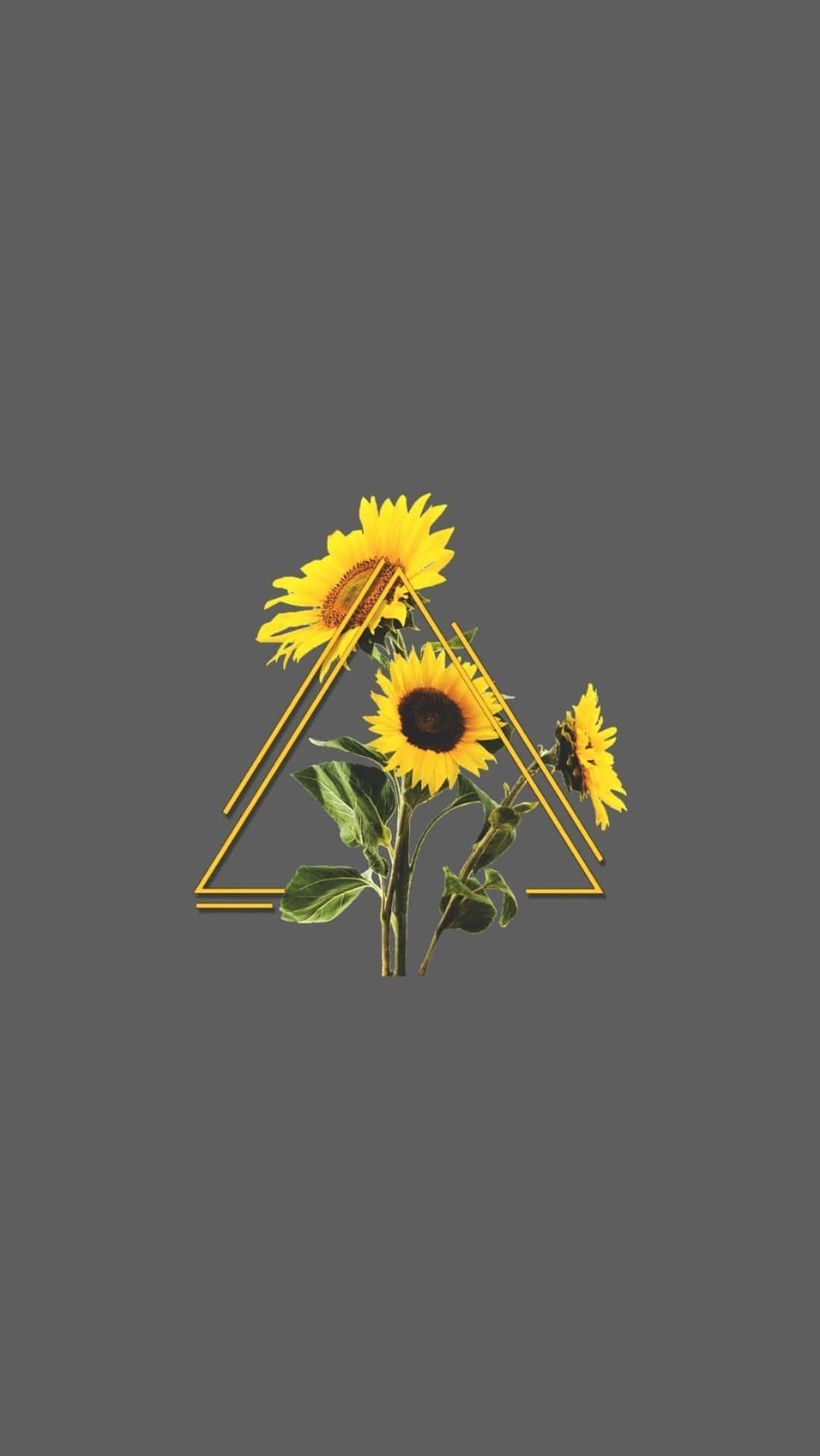 Triangle With A Sunflower Aesthetic Iphone Background