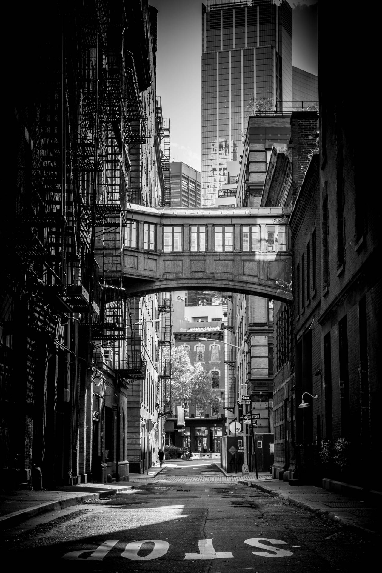 Tribeca New York Black And White Background