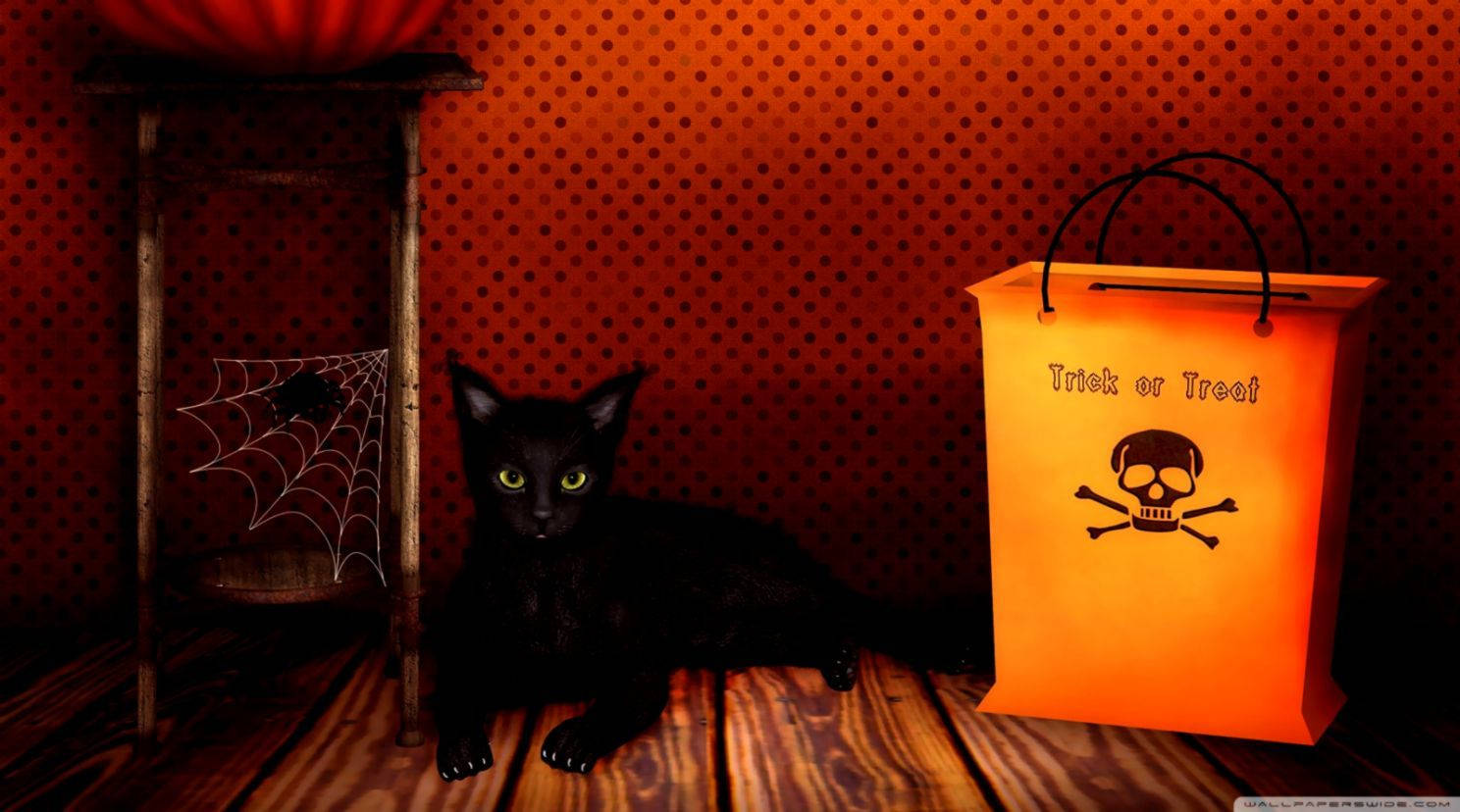 Trick Or Treat Bag Cat Background