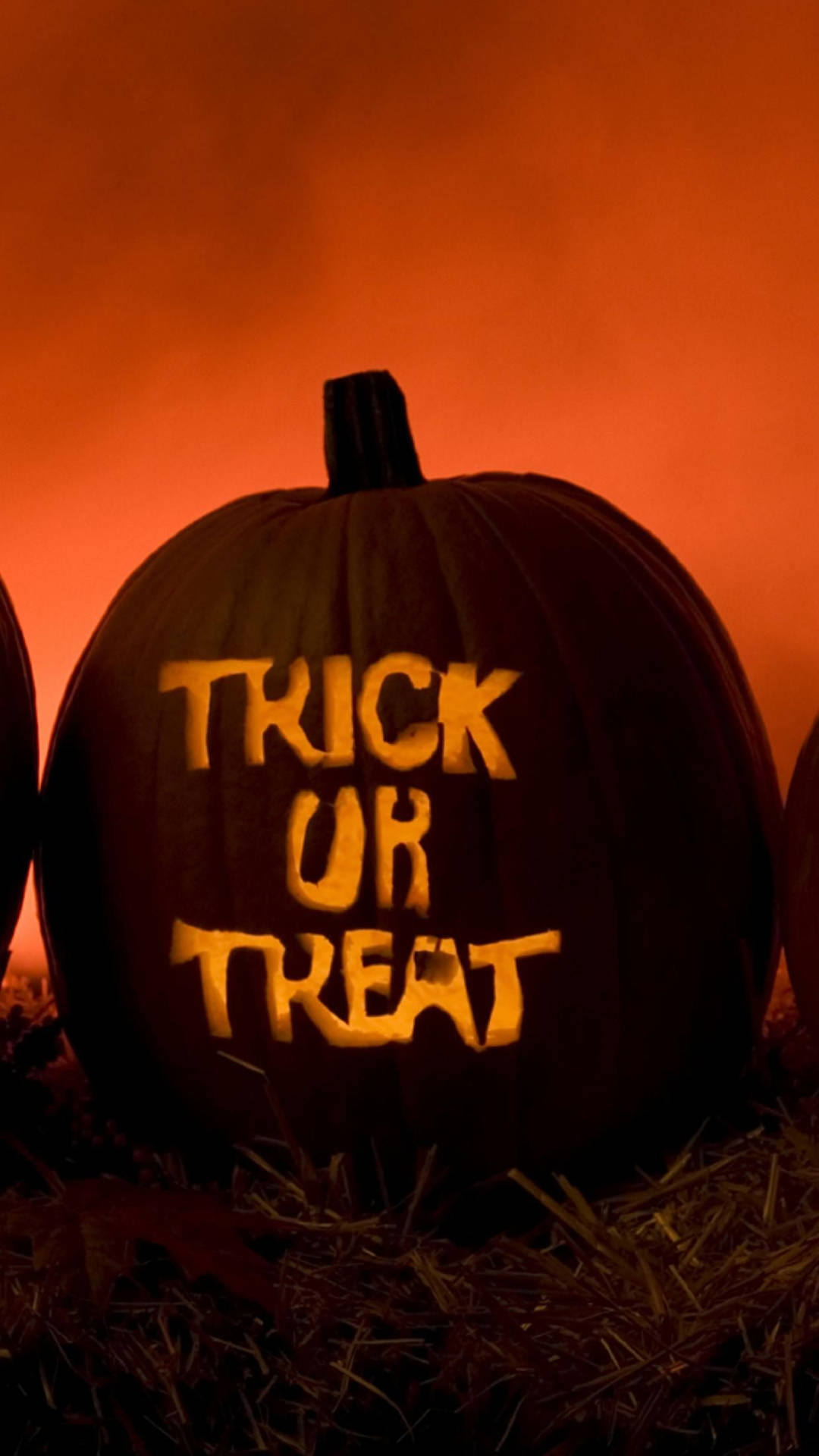 Trick Or Treat Pumpkin Words Background