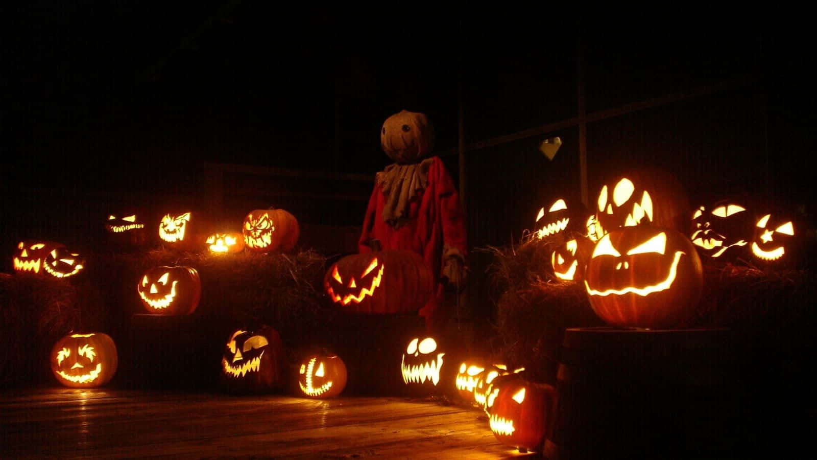 Trick R Treat Jack O' Lanterns Background