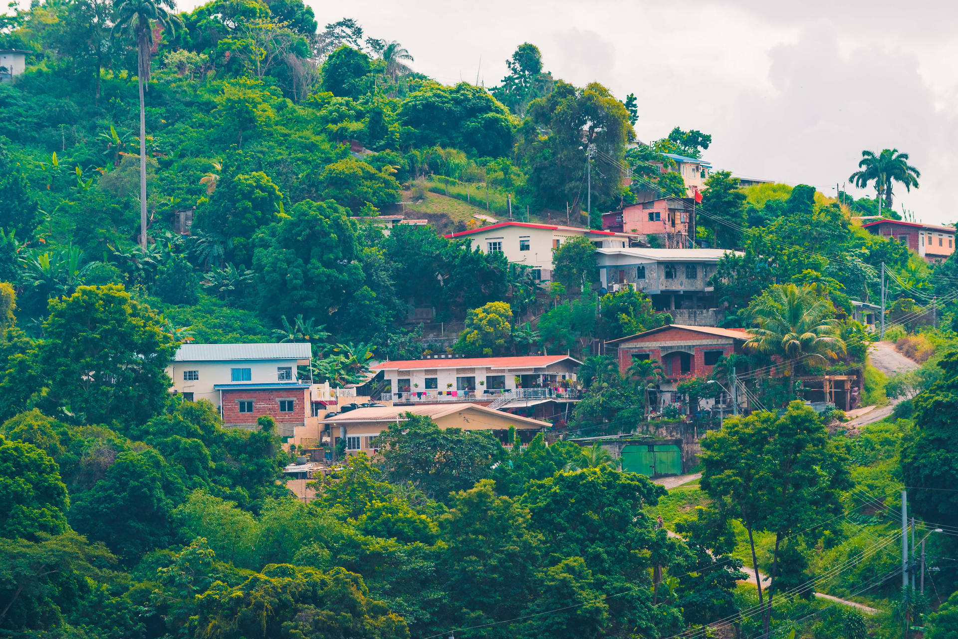 Trinidad And Tobago Hillside Houses Background