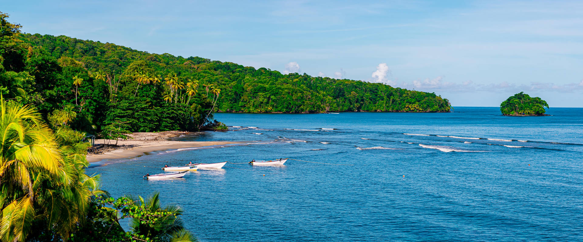 Trinidad And Tobago Salybia Bay Background