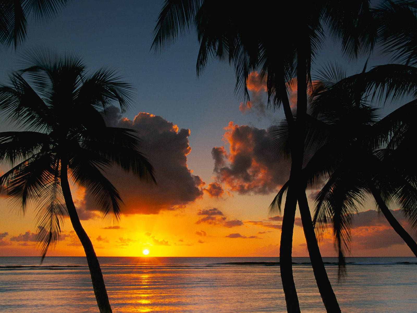 Trinidad And Tobago Sunset Background