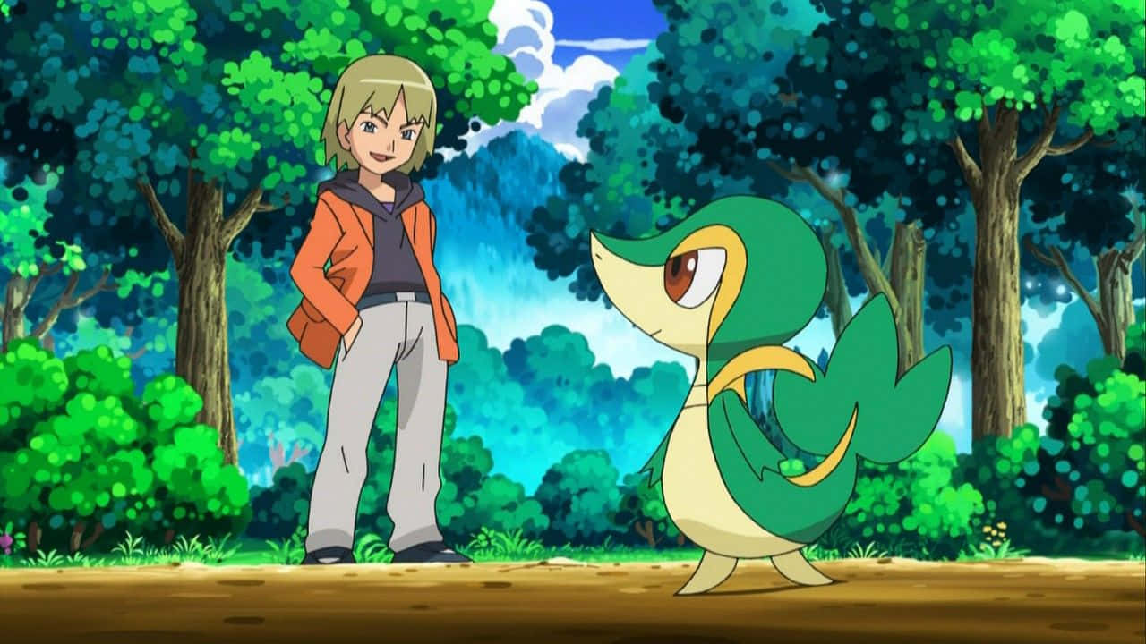 Trip Talking To Snivy Background