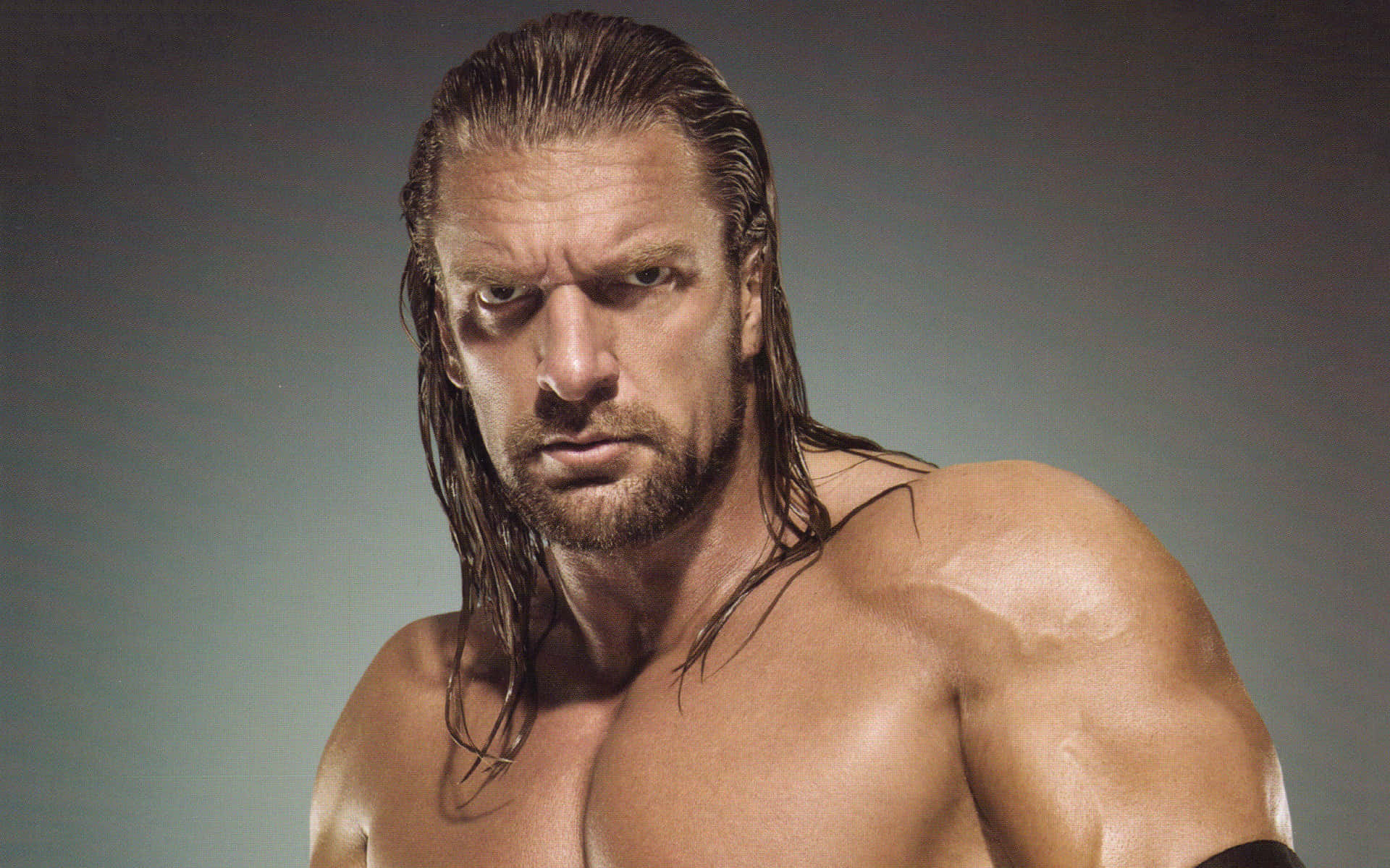 Triple H Dim Grey Portrait