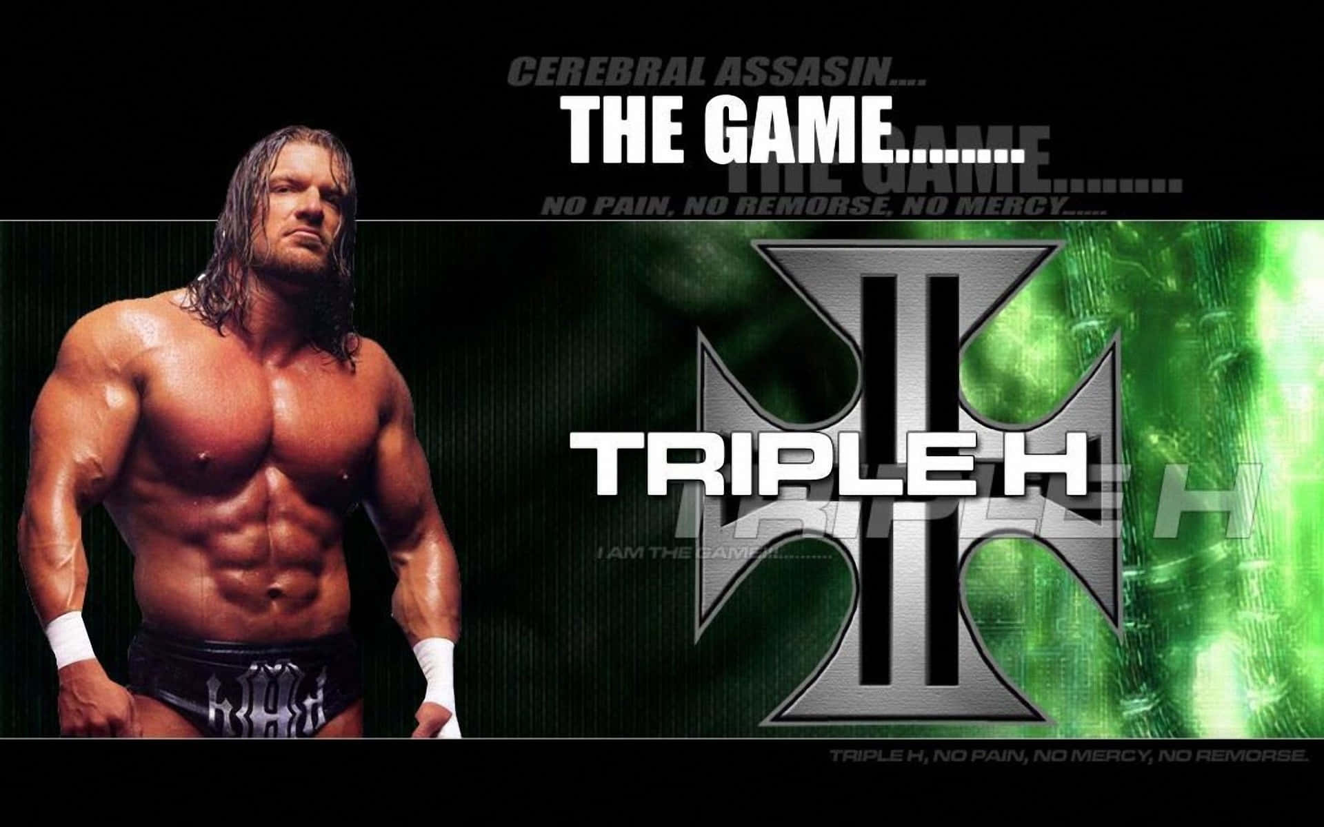 Triple H The Cerebral Assassin Background