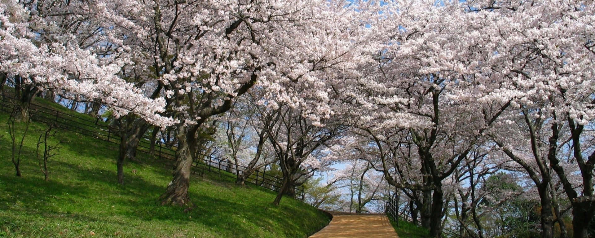 Triple The Screen Space With Spring Dual Monitors Background