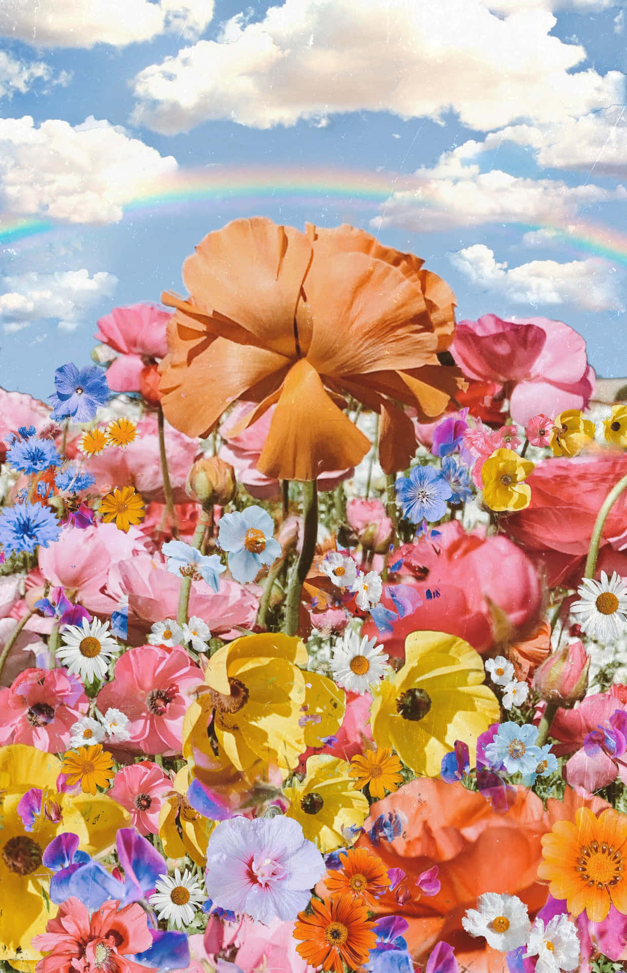 Trippy Aesthetic Cloud With Flowers Background