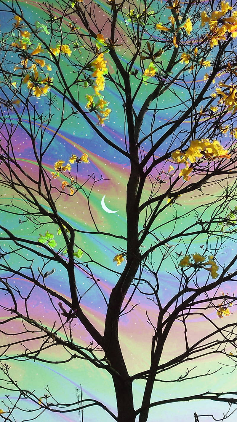 Trippy Dope Pastel Sky And Tree Background