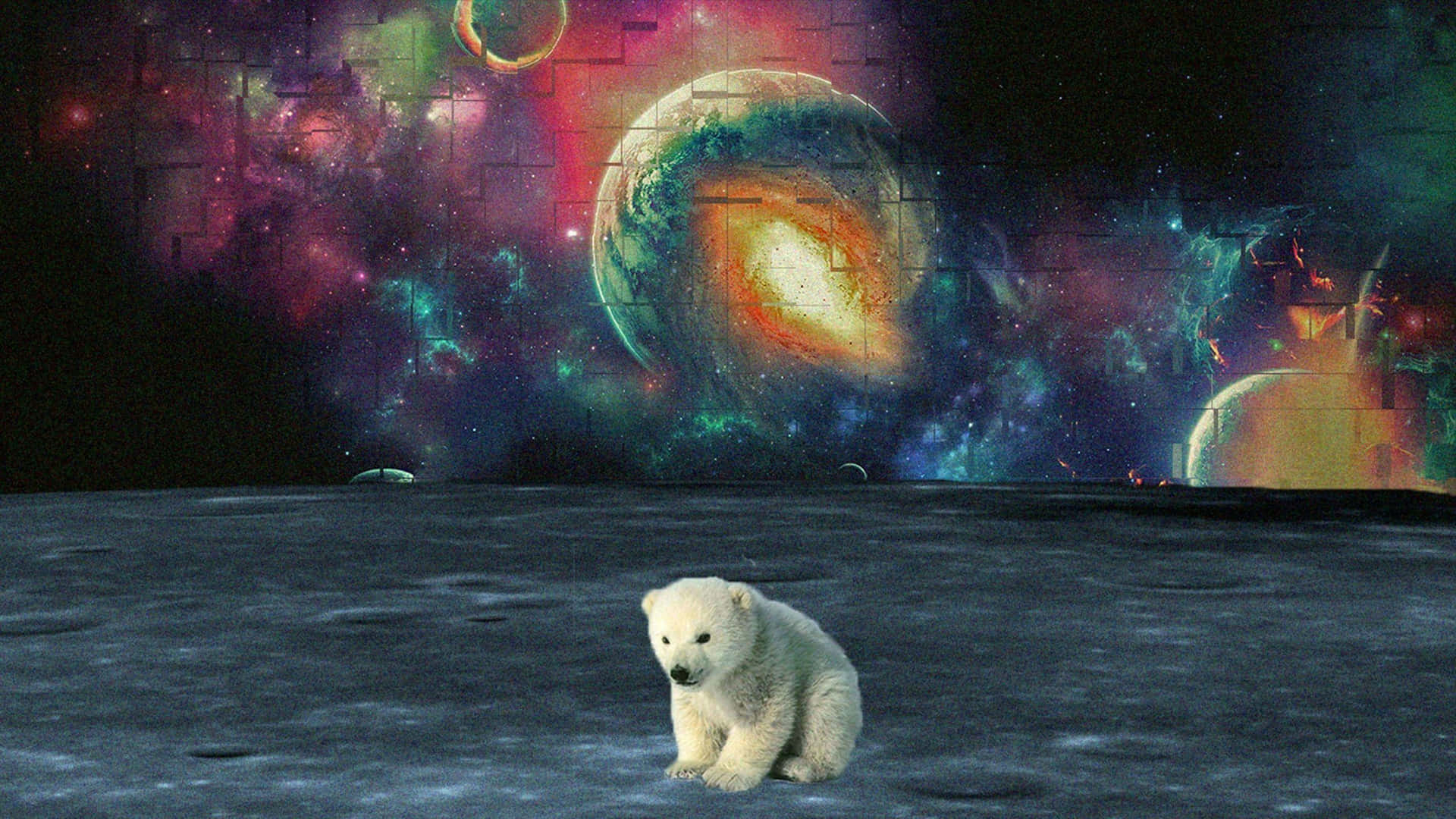 Trippy Galaxy With A Polar Bear Background