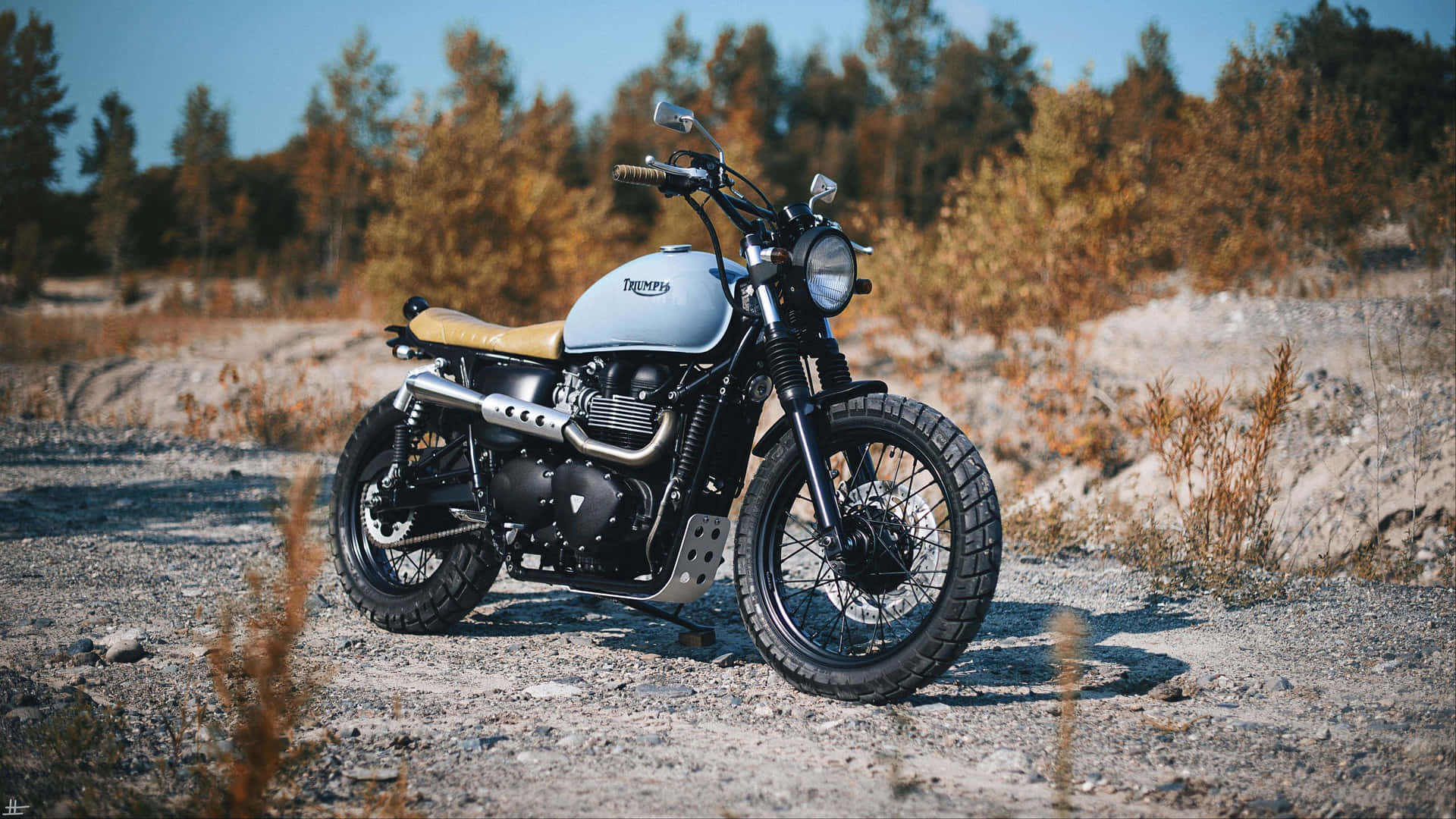 Triumph Scrambler - Hd Wallpaper Background