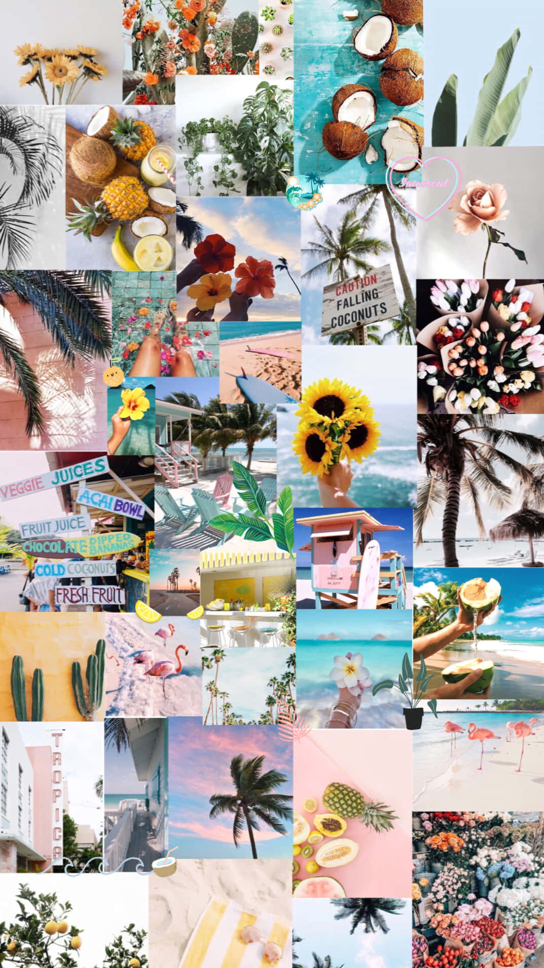 Tropical Aesthetic Collage