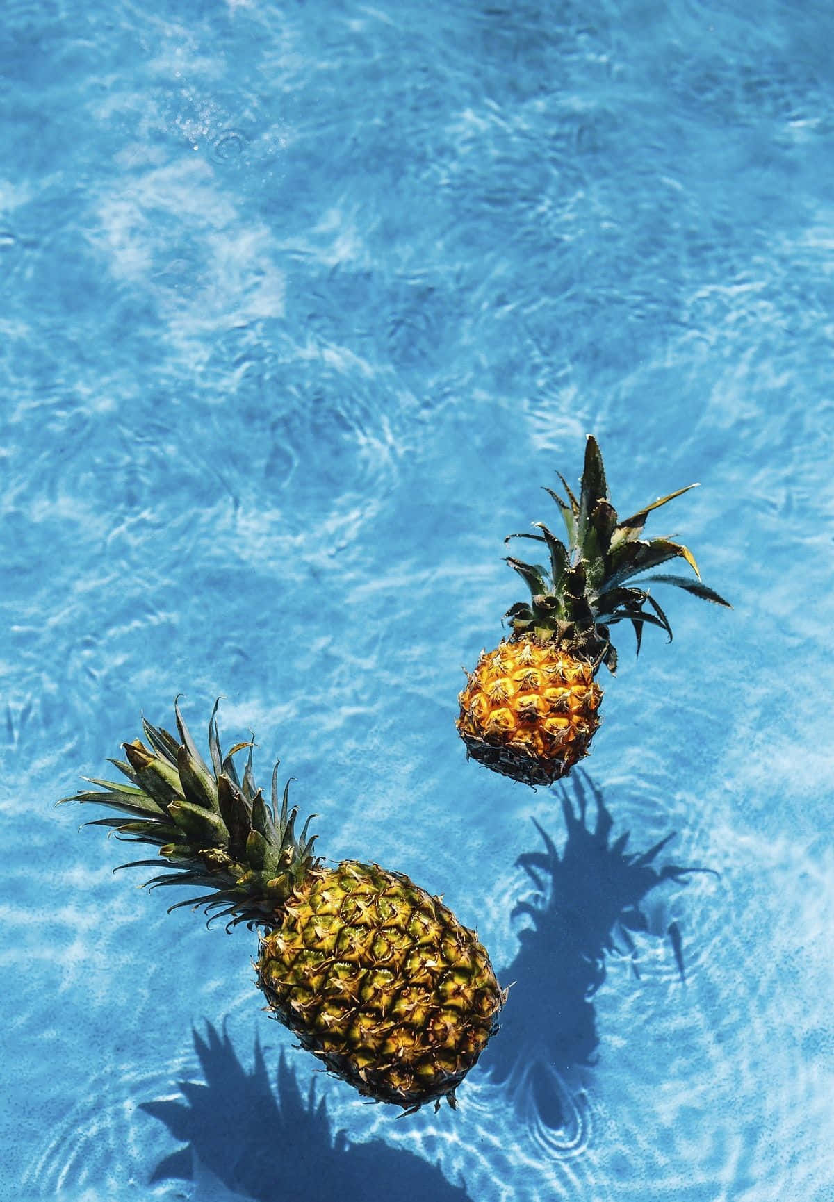 Tropical Aesthetic On Water Background