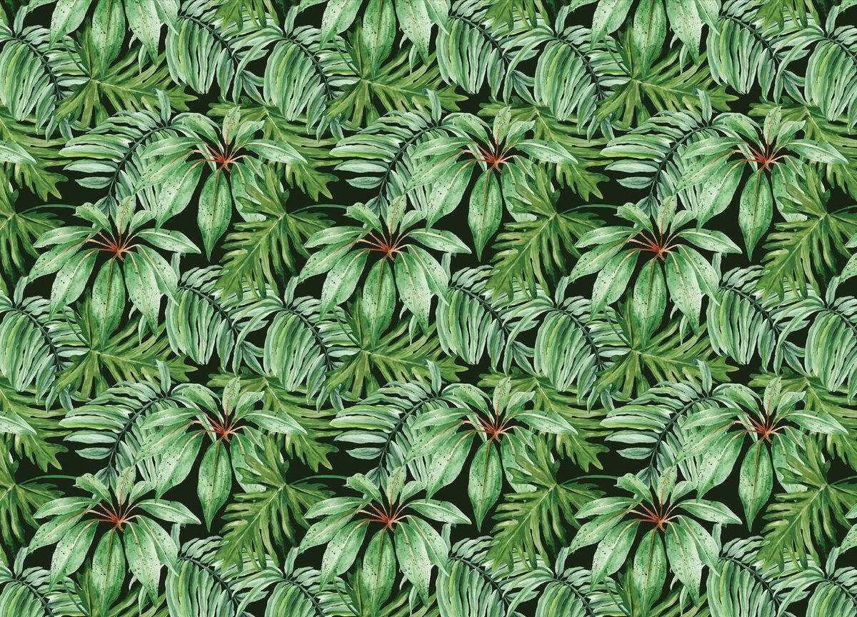 Tropical Banana Leaf Wallpaper Background
