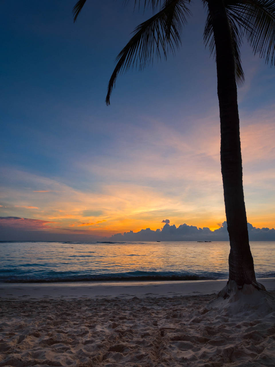 Tropical Beach Aesthetic Sunset Background
