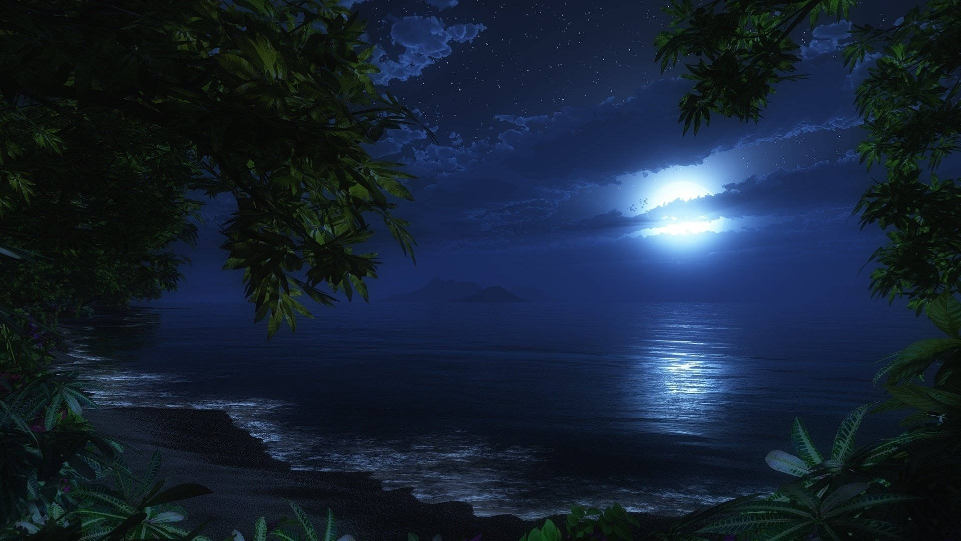 Tropical Beach Front At Night