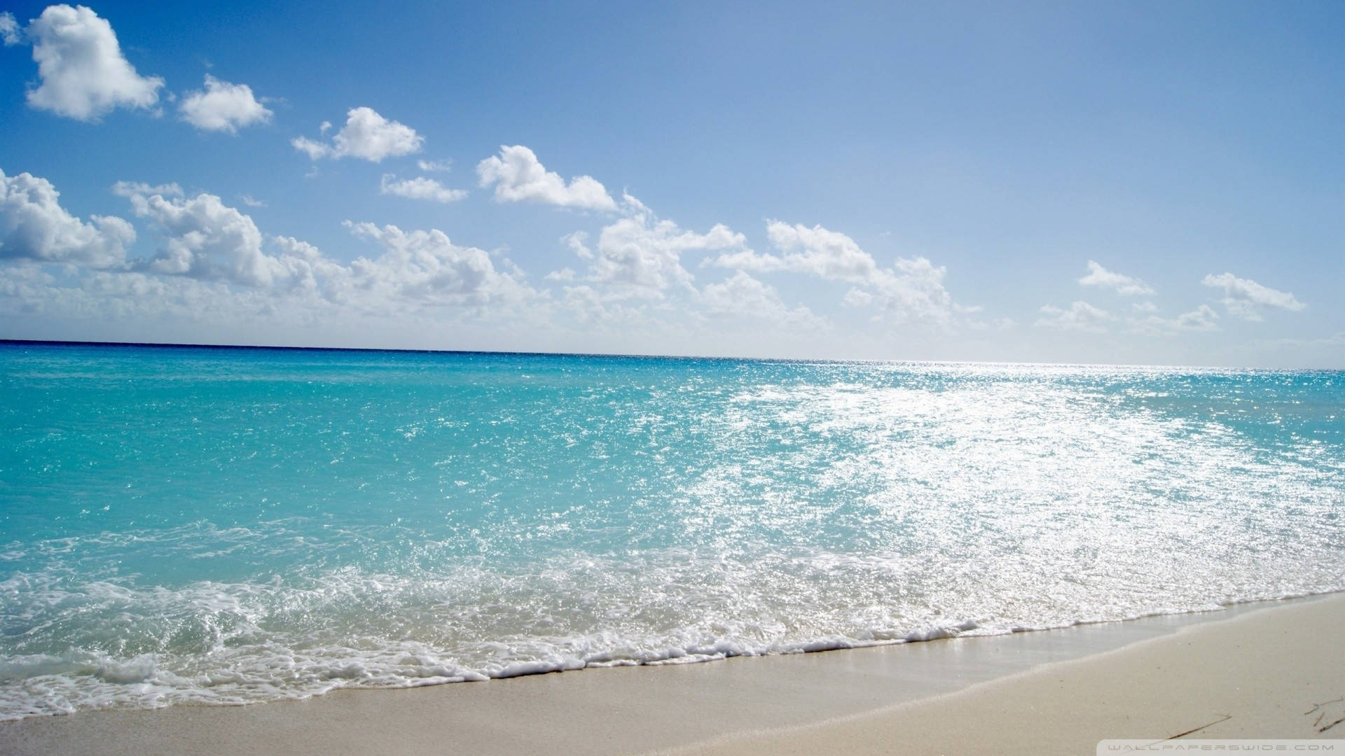 Tropical Beach Glistening Waters Background